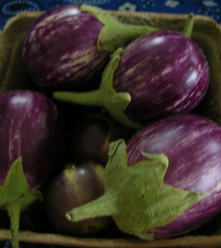Asian eggplant at market