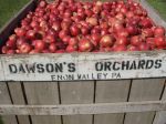 Dawson's Orchards